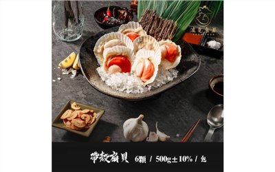 帶殼扇貝
